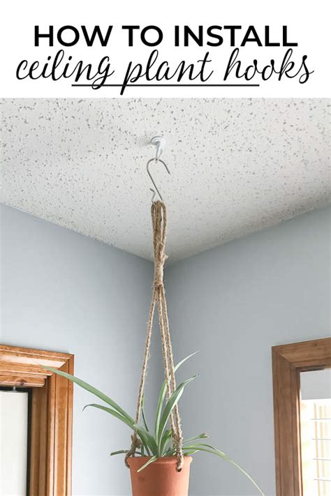 How To Put In Drywall Anchors For Hanging Plants