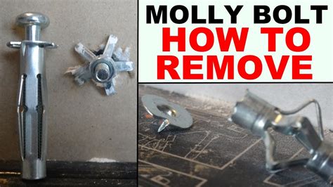 How To Remove Drywall Anchors Without Damage